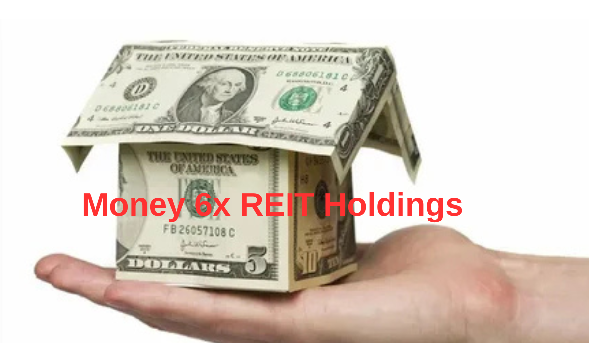 Money 6x REIT Holdings