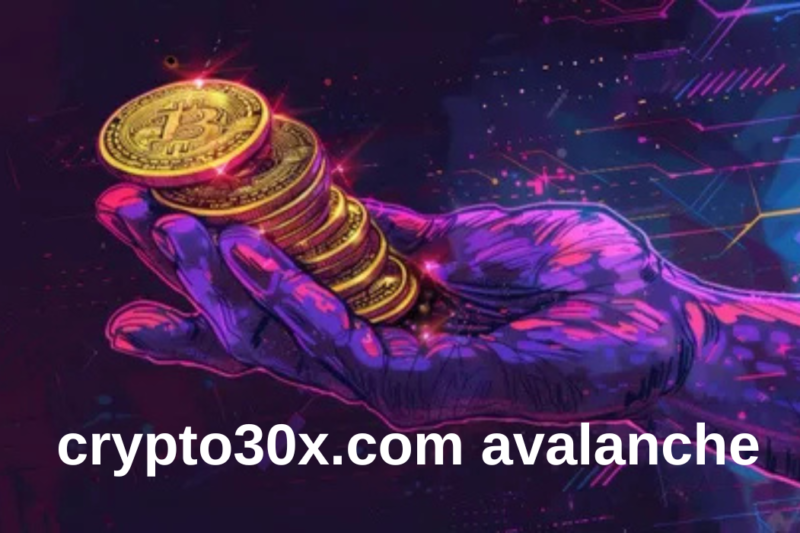 Surviving the Highs and Lows: A Guide to crypto30x.com avalanche Safety